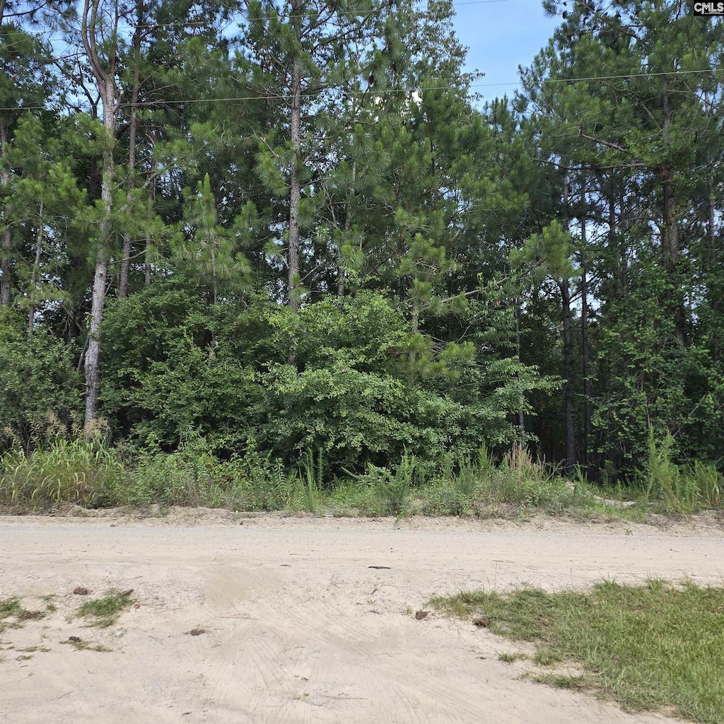 1321 Spring Creek Rd, Lugoff, SC 29078 - view of local wilderness
