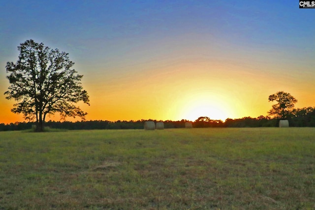 TBD Browns Pond Rd, Wagener, SC 29164