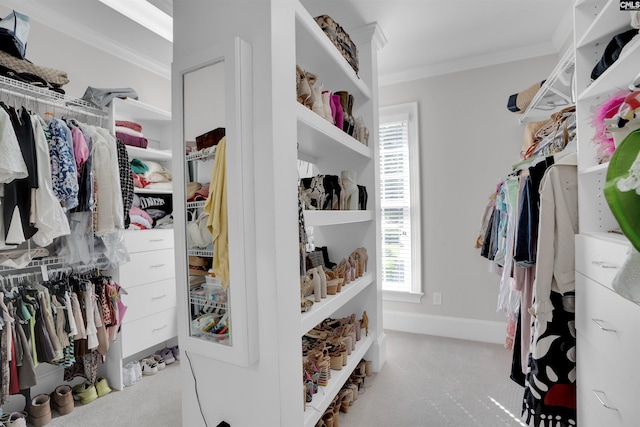 226 Forty Love Pt, Chapin, SC 29036 - walk in closet featuring carpet