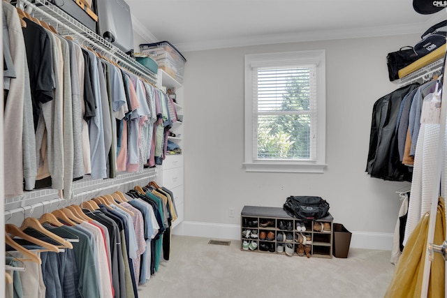 226 Forty Love Pt, Chapin, SC 29036 - spacious closet with carpet floors