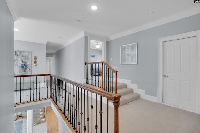 226 Forty Love Pt, Chapin, SC 29036 - stairway with ornamental molding, recessed lighting, and carpet flooring