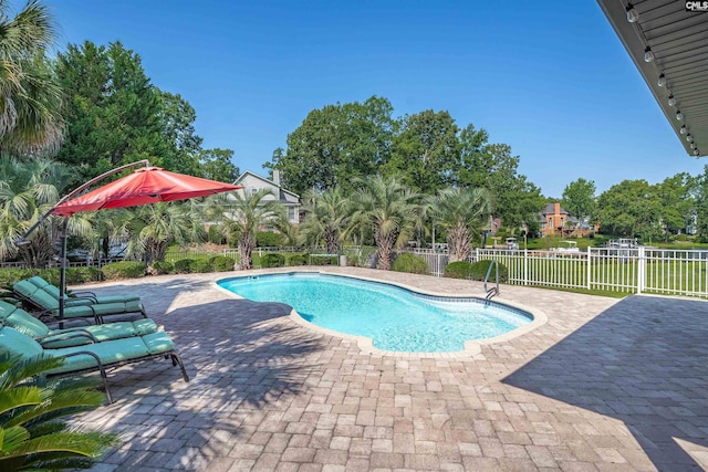 226 Forty Love Pt, Chapin, SC 29036 - view of pool with a patio area