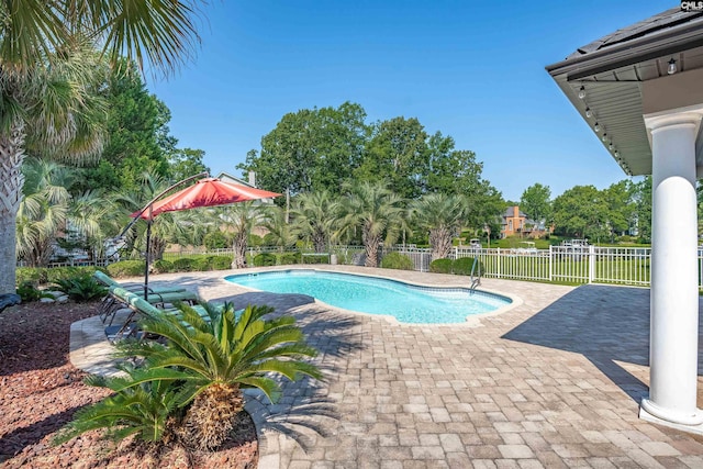 226 Forty Love Pt, Chapin, SC 29036 - view of pool featuring a patio area
