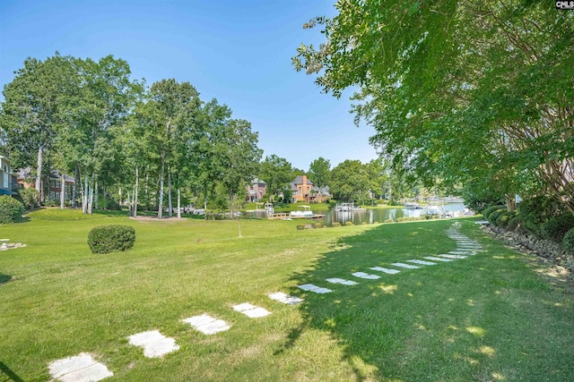226 Forty Love Pt, Chapin, SC 29036 - view of green lawn featuring a water view