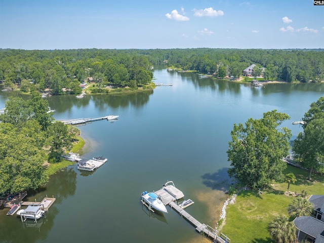 226 Forty Love Pt, Chapin, SC 29036 - aerial view of a forest and a large body of water