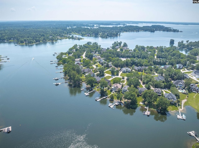226 Forty Love Pt, Chapin, SC 29036 - bird's eye view of a nearby body of water