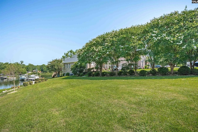226 Forty Love Pt, Chapin, SC 29036 - view of green lawn featuring a water view