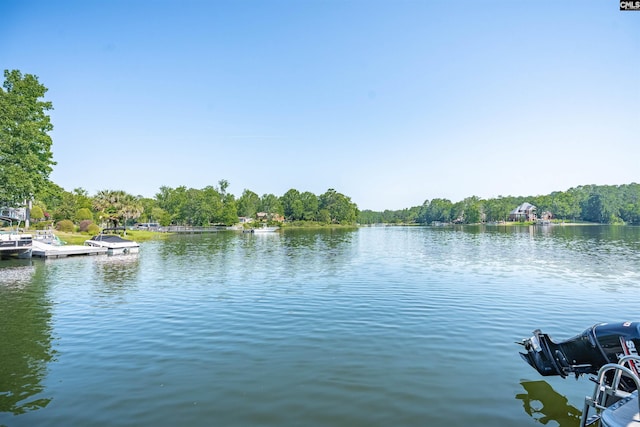 226 Forty Love Pt, Chapin, SC 29036 - water view with a dock