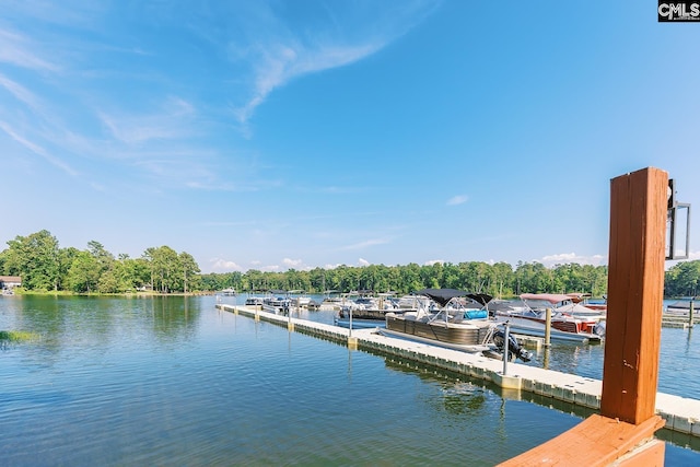 122 Azur Ave, Chapin, SC 29036 - dock with a water view