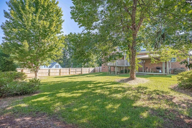 100 Ridge Top Rd, Lexington, SC 29072 - view of yard