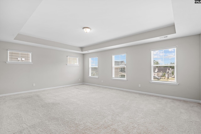 478 Harbour Pointe Dr, Columbia, SC 29229 - spare room with a raised ceiling, light carpet, and healthy amount of natural light