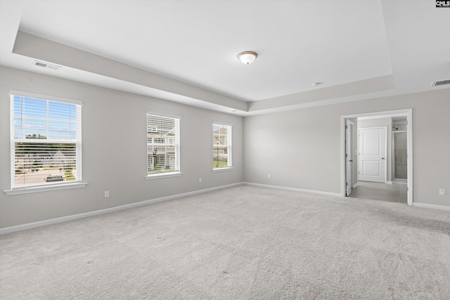 478 Harbour Pointe Dr, Columbia, SC 29229 - empty room featuring a tray ceiling, carpet floors, and plenty of natural light