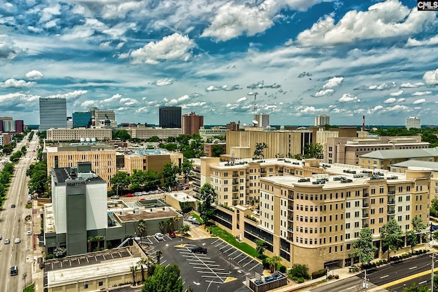 601 Main St Unit 518, Columbia, SC 29201 - view of city