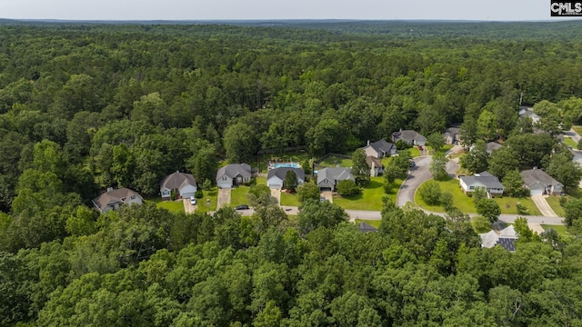 614 Beech Branch Dr, Irmo, SC 29063 - view of property location with a forest