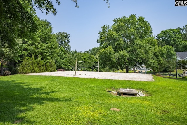 614 Beech Branch Dr, Irmo, SC 29063 - view of property's community with volleyball court