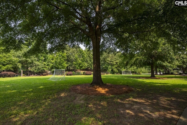 614 Beech Branch Dr, Irmo, SC 29063 - view of yard featuring a sport area and view of wooded area