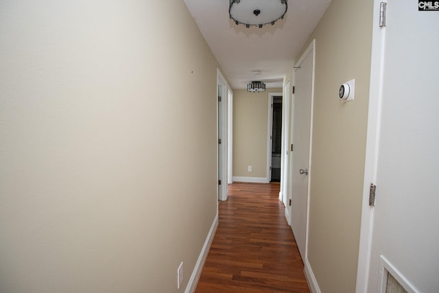 619 King St Unit 801, Columbia, SC 29205 - corridor featuring dark wood-style flooring and baseboards