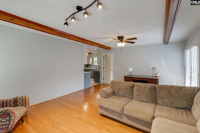 9628 Highgate Rd, Columbia, SC 29223 - living room featuring plenty of natural light, beamed ceiling, light wood-type flooring, a textured ceiling, and ceiling fan