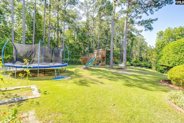 9628 Highgate Rd, Columbia, SC 29223 - view of green lawn with a trampoline and a playground