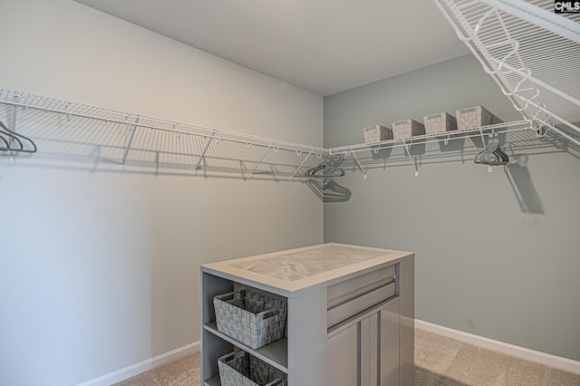 2095 County Line Trl, Elgin, SC 29045 - spacious closet with light carpet