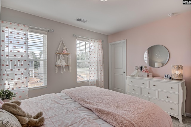 2095 County Line Trl, Elgin, SC 29045 - bedroom with multiple windows and light carpet