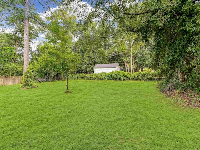3619 Hanson Ave, Columbia, SC 29204 - view of yard