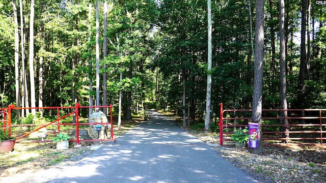 2367 Mount Pilgrim Church Rd, Prosperity, SC 29127 - view of asphalt road with a gate