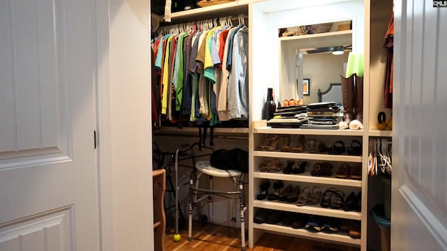 2367 Mount Pilgrim Church Rd, Prosperity, SC 29127 - view of closet