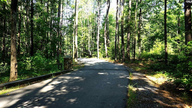 2367 Mount Pilgrim Church Rd, Prosperity, SC 29127 - view of street featuring a wooded view