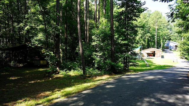 2367 Mount Pilgrim Church Rd, Prosperity, SC 29127 - view of asphalt road with a forest view