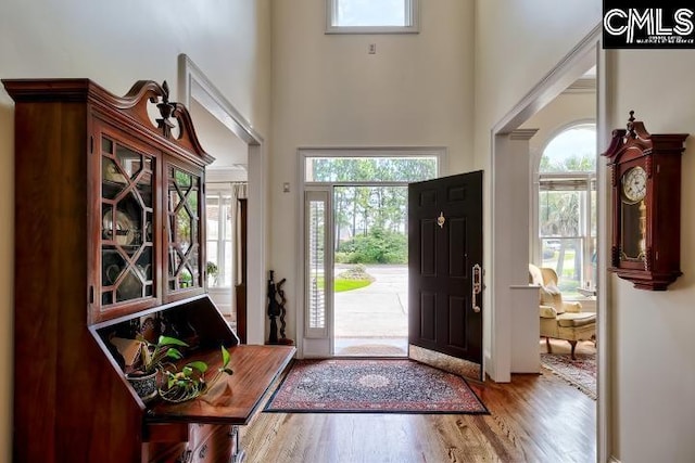 426 Turkey Point Cir, Columbia, SC 29223 - entrance foyer featuring a high ceiling, healthy amount of natural light, and wood finished floors