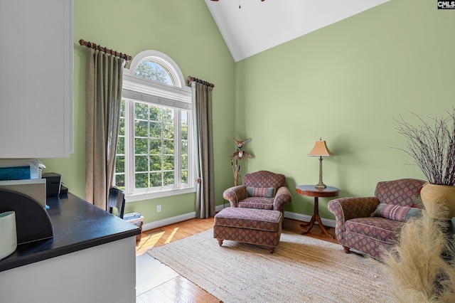 132 Alston Cir, Lexington, SC 29072 - office featuring a ceiling fan, wood finished floors, and high vaulted ceiling