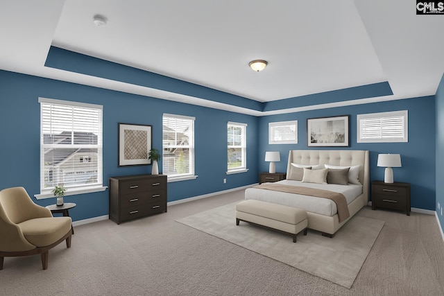4040 Summerland Way, Elgin, SC 29045 - bedroom with a tray ceiling and light colored carpet