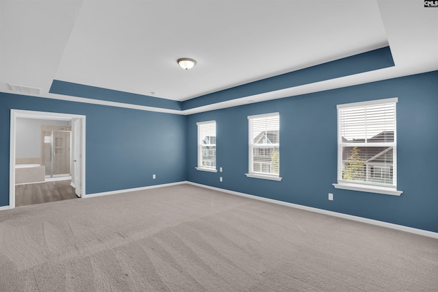 4040 Summerland Way, Elgin, SC 29045 - carpeted spare room featuring a tray ceiling and plenty of natural light