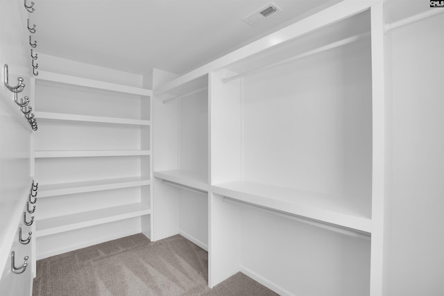 4040 Summerland Way, Elgin, SC 29045 - walk in closet with carpet floors