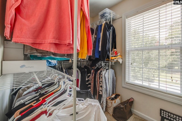 487 Marsh Pointe Dr, Columbia, SC 29229 - spacious closet with carpet flooring
