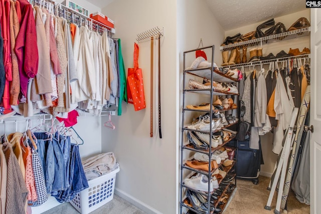 487 Marsh Pointe Dr, Columbia, SC 29229 - walk in closet with carpet