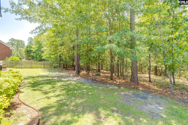 487 Marsh Pointe Dr, Columbia, SC 29229 - view of yard