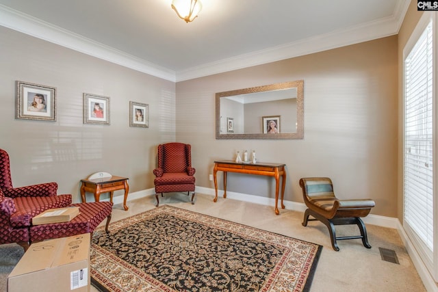 487 Marsh Pointe Dr, Columbia, SC 29229 - living area with carpet, ornamental molding, and plenty of natural light