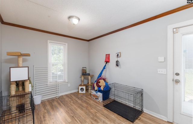 131 Firebranch St, Columbia, SC 29212 - misc room featuring wood finished floors, crown molding, and a textured ceiling