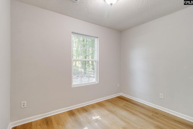 146 Centerville Rd, Ridgeway, SC 29130 - spare room featuring light wood-type flooring and a textured ceiling