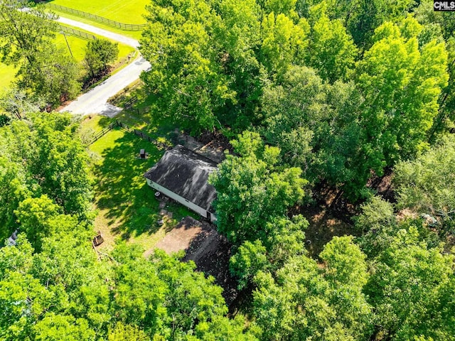 146 Centerville Rd, Ridgeway, SC 29130 - aerial view of sparsely populated area