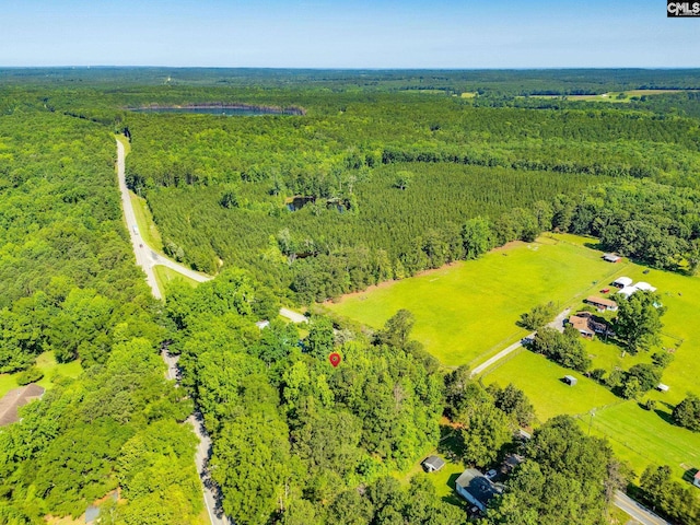 146 Centerville Rd, Ridgeway, SC 29130 - bird's eye view of a heavily wooded area