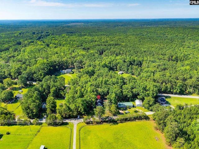 146 Centerville Rd, Ridgeway, SC 29130 - aerial view of a forest