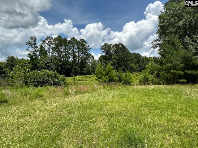 2601 Myrtle St, Newberry, SC 29108 - view of local wilderness