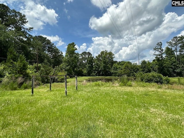 2601 Myrtle St, Newberry, SC 29108 - view of local wilderness