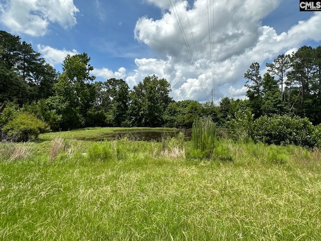 2601 Myrtle St, Newberry, SC 29108 - view of undeveloped land with a large body of water