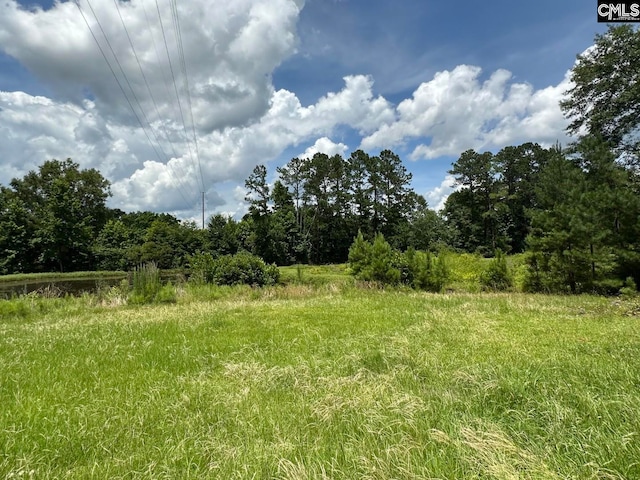 2601 Myrtle St, Newberry, SC 29108 - view of undeveloped land