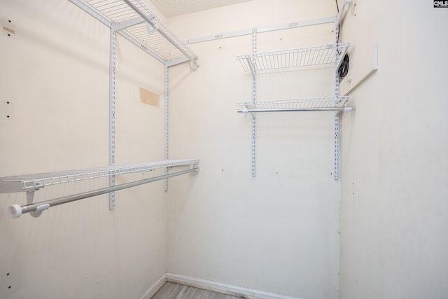 1426 B Ave, West Columbia, SC 29169 - view of walk in closet