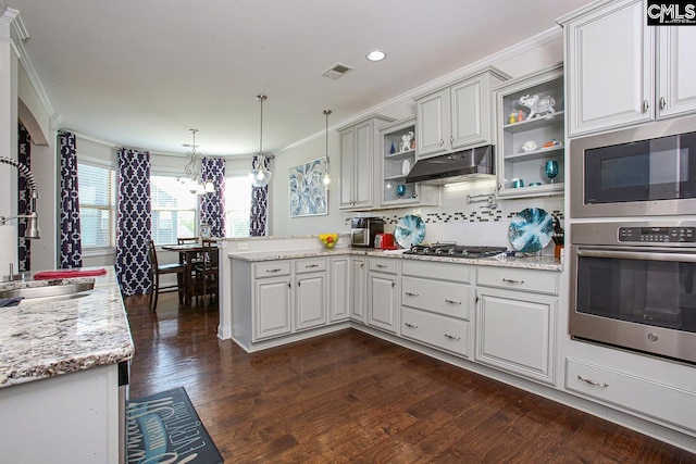 576 Maple Valley Loop, Blythewood, SC 29016 - kitchen featuring under cabinet range hood, a peninsula, a chandelier, appliances with stainless steel finishes, and open shelves